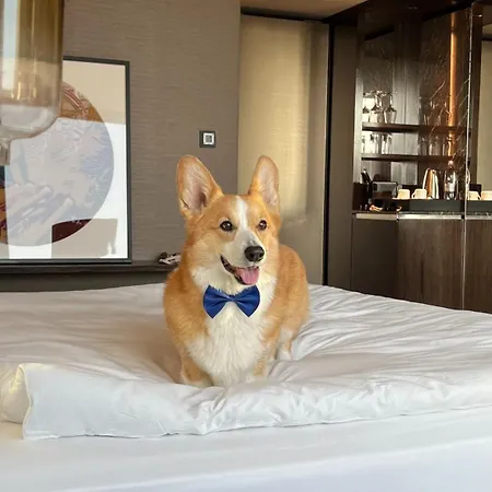 Intercontinental - By Ihg מלון לובליאנה